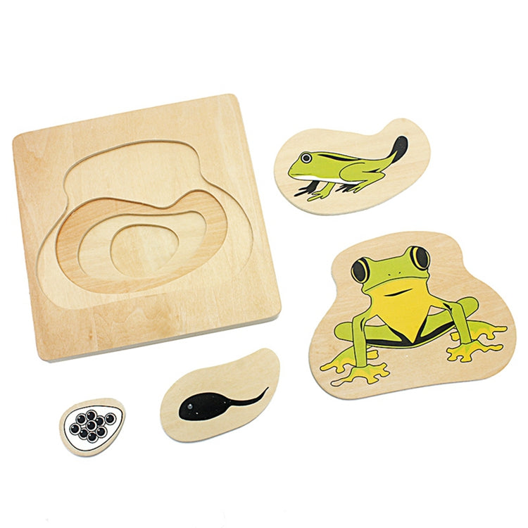 Montessori Life Cycle Puzzles