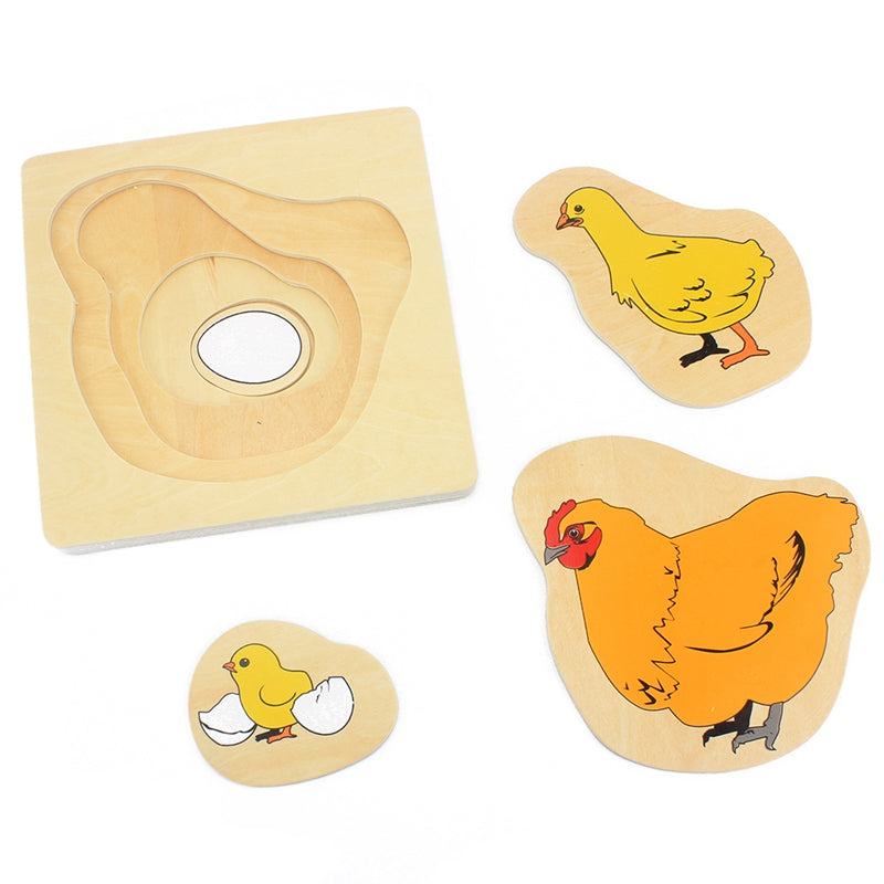 Montessori Life Cycle Puzzles