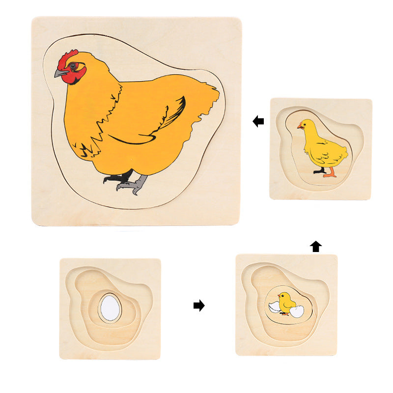 Montessori Life Cycle Puzzles