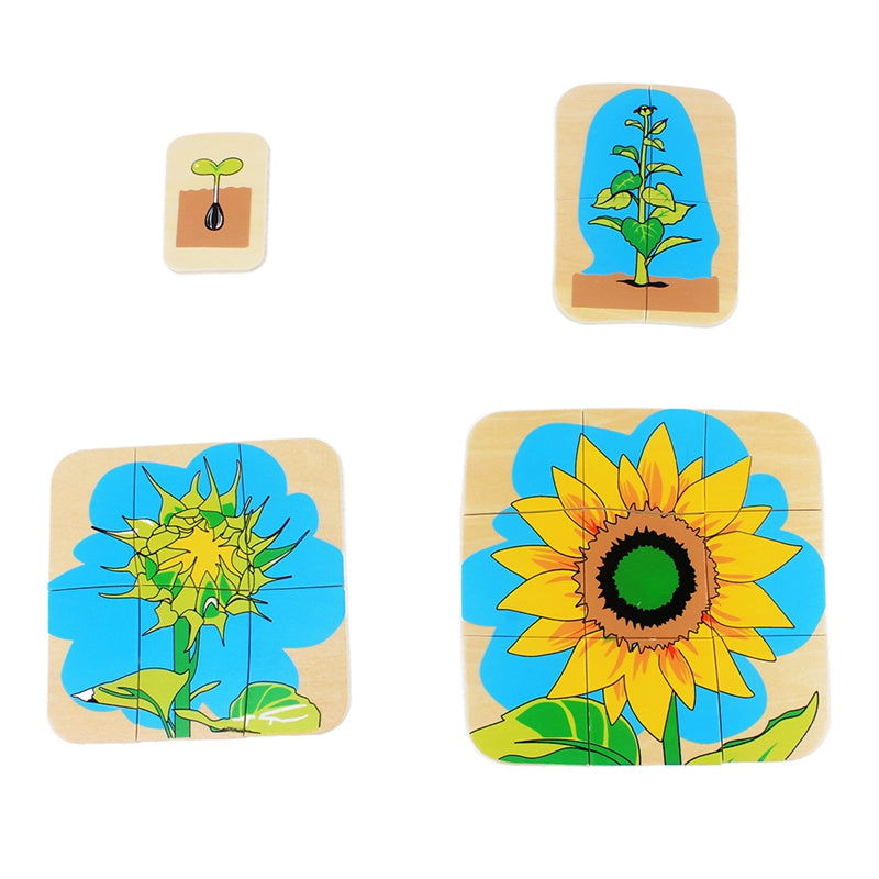 Montessori Life Cycle Puzzles