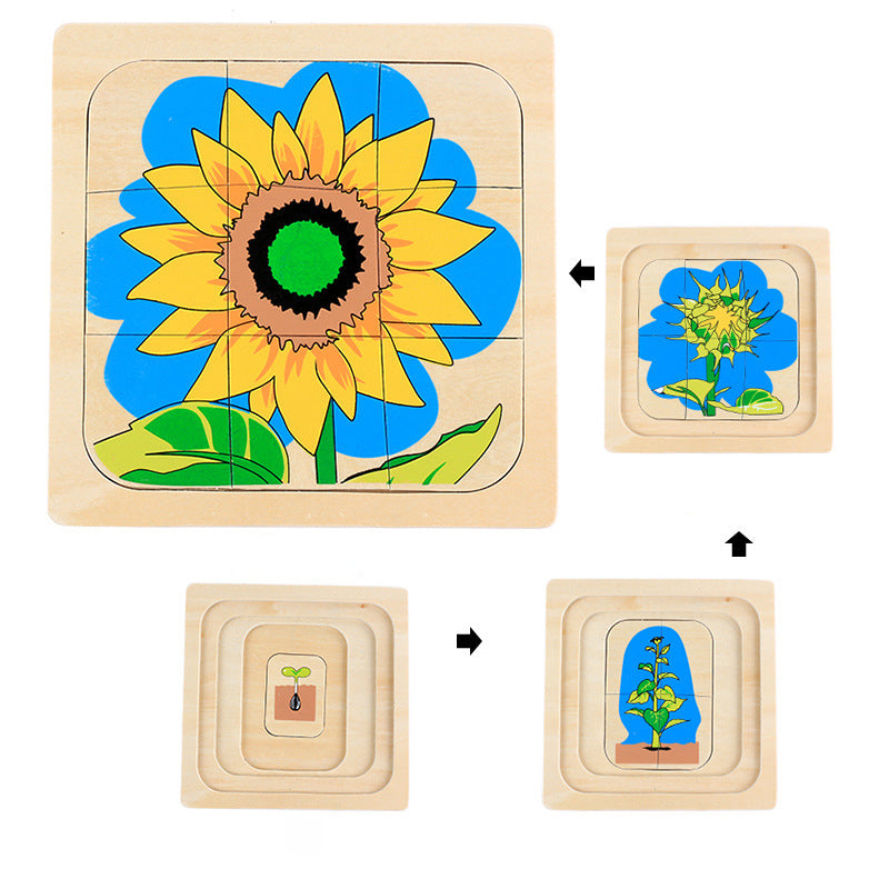 Montessori Life Cycle Puzzles