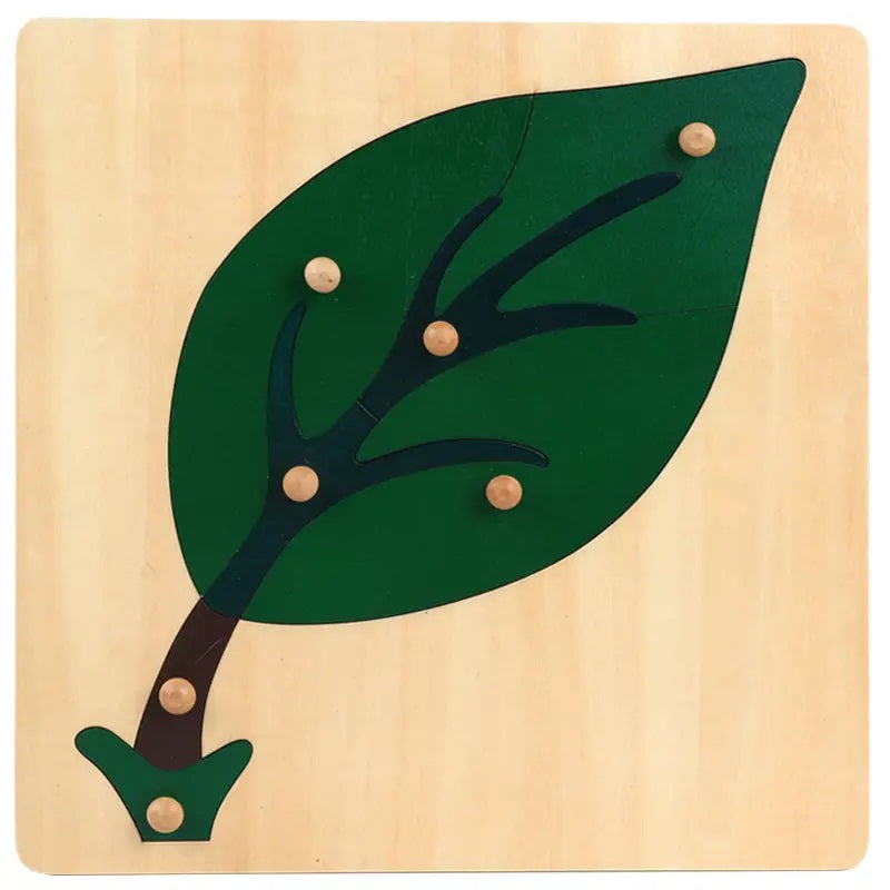 Montessori Wooden Puzzles