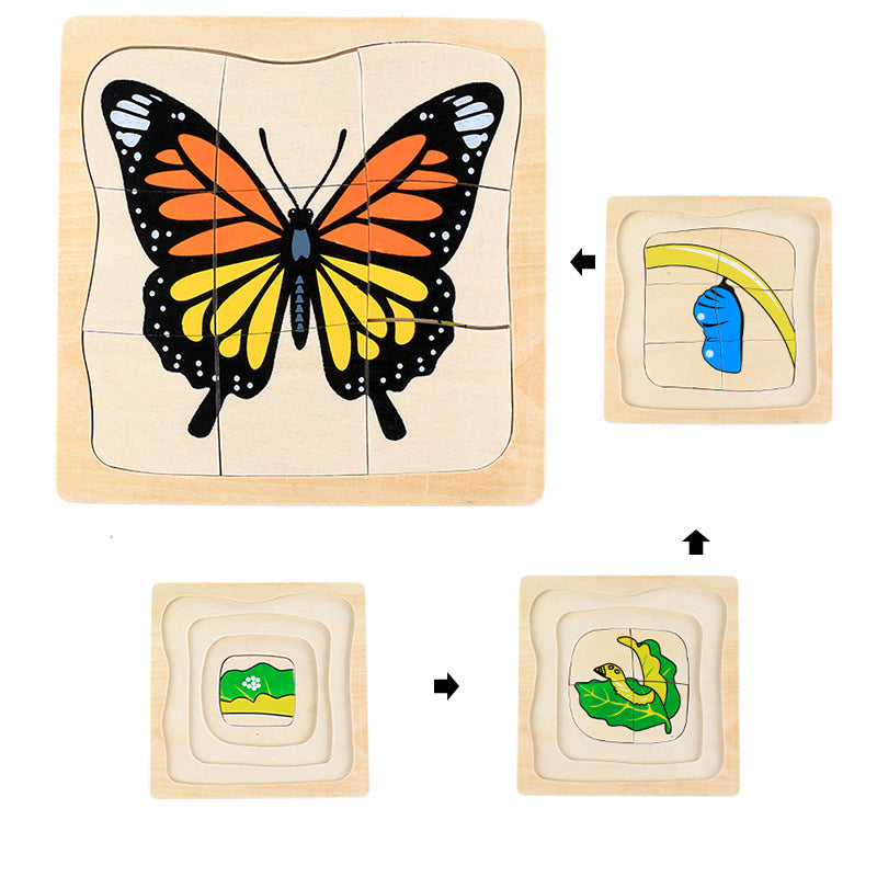 Montessori Life Cycle Puzzles