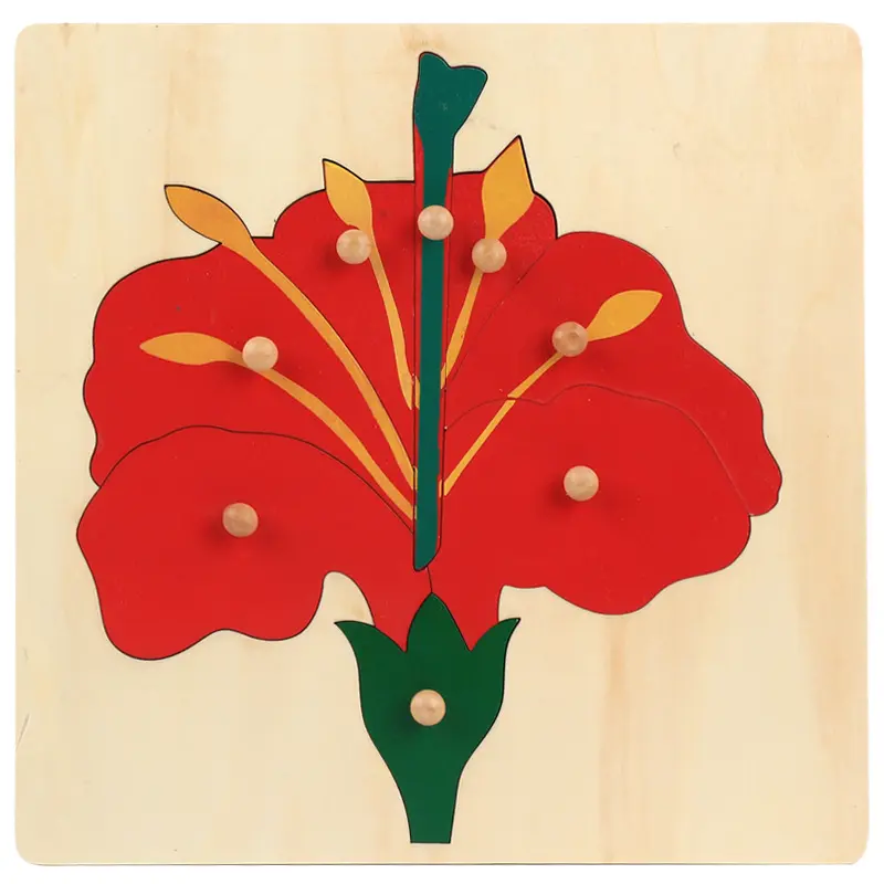 Montessori Wooden Puzzles