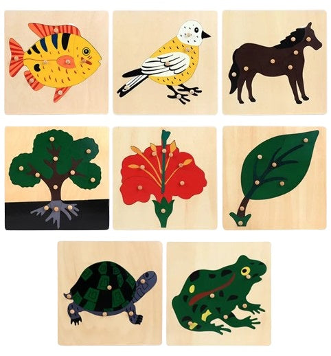 Montessori Wooden Puzzles